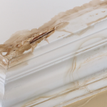 signs-of-water-damage-in-your-home