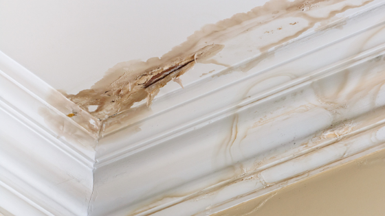 How to Remove Water Stains from Walls and Ceilings