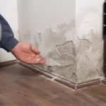how-to-prevent-water-damage-in-your-home