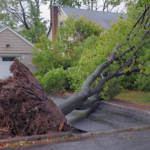 Weather Related Property Damage and a Public Adjuster