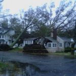 Tree uprooted in front of a house - Arizona Public Adjuster