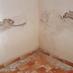 What Does Water Damage Look Like? And Other Water Damage FAQs