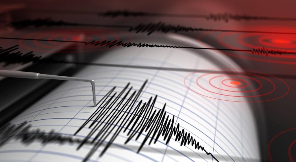 Coverage of Japan's earthquake detailing damage and local authority responses