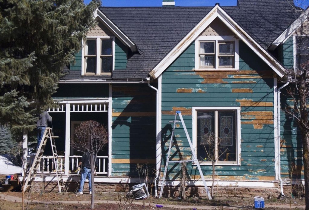 A green house with a ladder leaning against it indicating ongoing maintenance