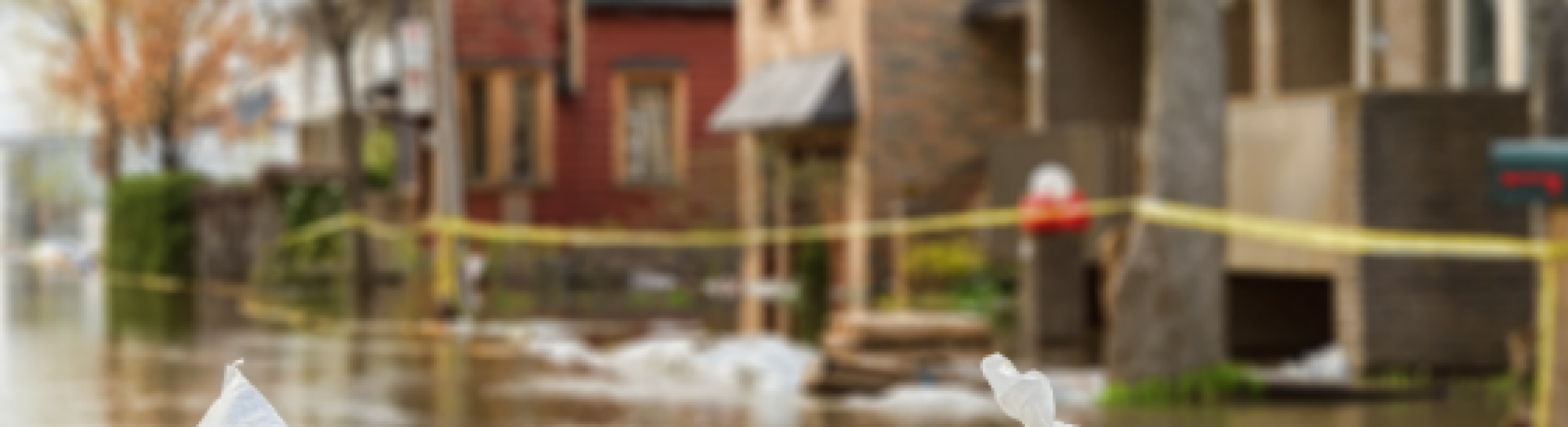 what-to-do-if-your-home-is-damaged-by-a-flood